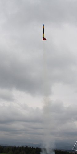 2013 Svojek Mirek Topinka